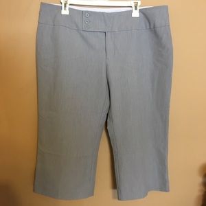 Maurice’s Dress Shorts